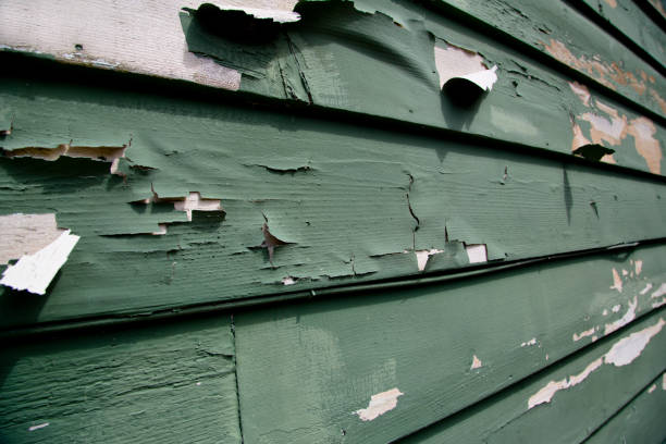 Best Demolition Debris Removal  in Old Fig Garden, CA